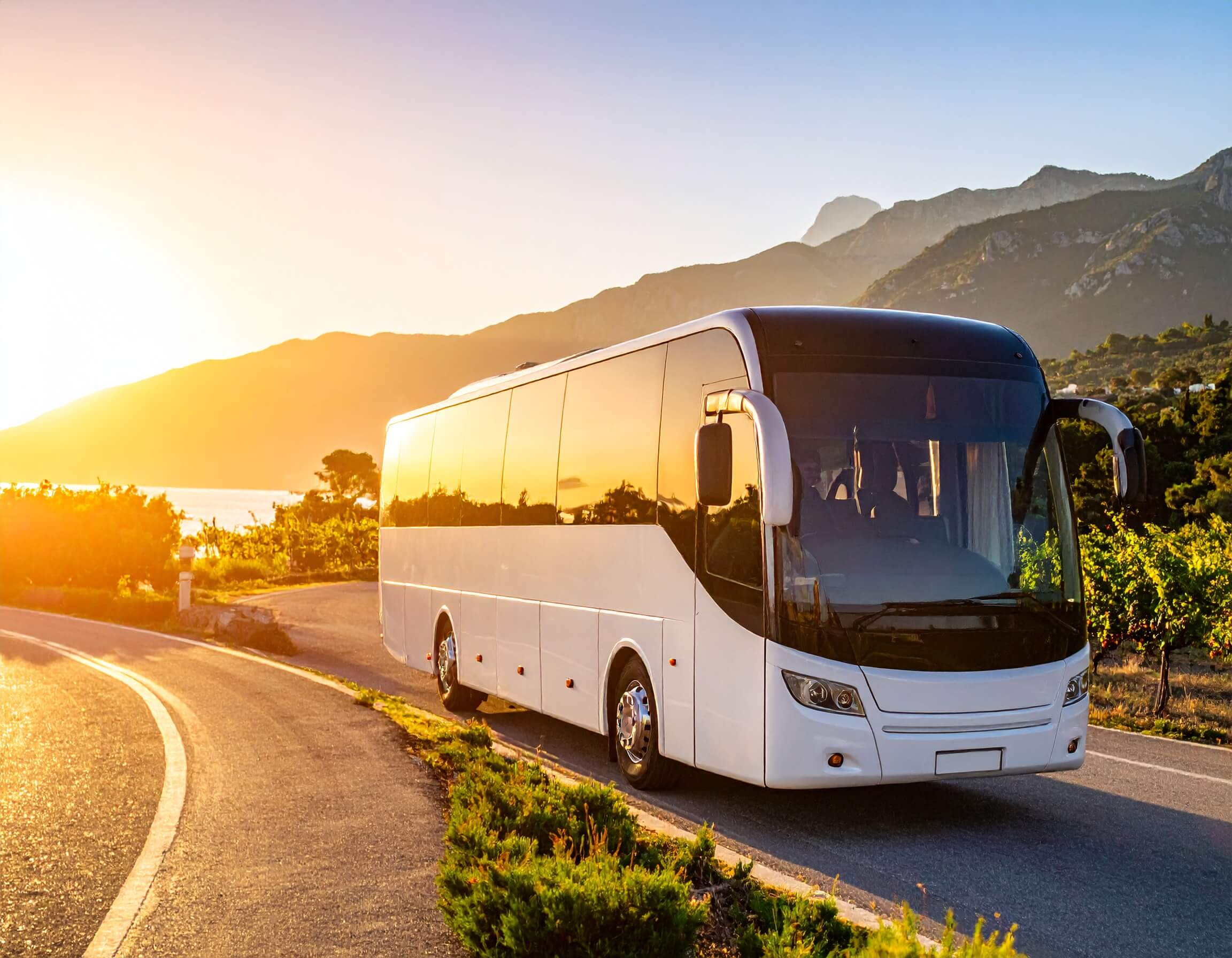 SERVICIO DE TRANSPORTE